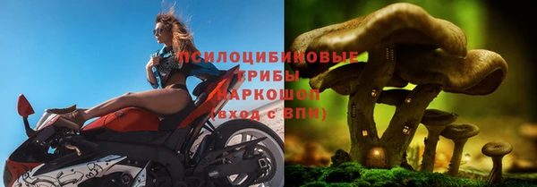 apvp Алексин