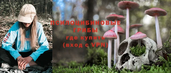 амф Алексеевка